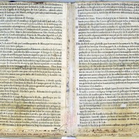 “Sollevazione di Tommaso Aniello di Napoli”. Manoscritto A. Molini (Biblioteca Universitaria di Bologna, ms. 2466). Storicamente.org
Copyright © Alma Mater Studiorum Università di Bologna – Biblioteca Universitaria di Bologna. All rights reserved. È vietata la riproduzione o duplicazione con qualsiasi mezzo.