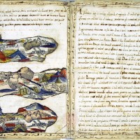 “Sollevazione di Tommaso Aniello di Napoli”. Manoscritto A. Molini (Biblioteca Universitaria di Bologna, ms. 2466). Storicamente.org
Copyright © Alma Mater Studiorum Università di Bologna – Biblioteca Universitaria di Bologna. All rights reserved. È vietata la riproduzione o duplicazione con qualsiasi mezzo.