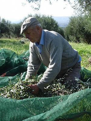 Fig. 6 Mediterranean Diet https://ich.unesco.org