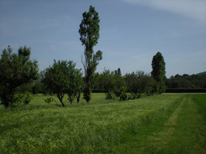 San Lazzaro di Savena (BO) – persistenze della 