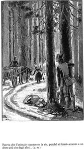 «Pareva che l'animale conoscesse la via, perché si fermò accanto a un abete più alto degli altre...». Fonte: Emma Perodi, Fiabe fantastiche. Le Novelle della nonna,
Torino: Einaudi,  1974 (I ed. 1893), p. 76.